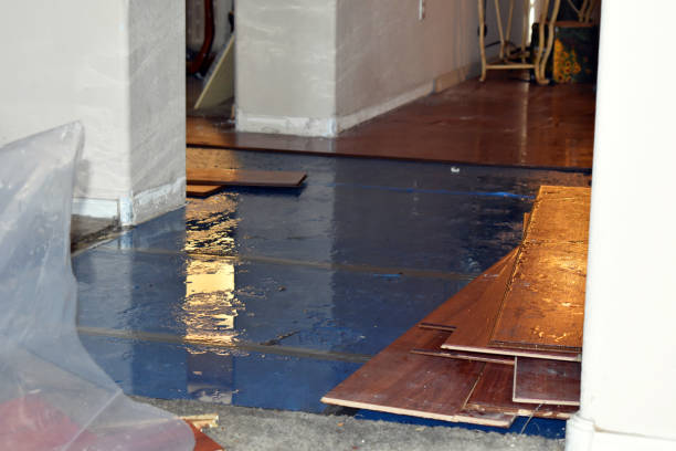 Professional Emergency Water Damage Restoration technician working in Lucerne, CO